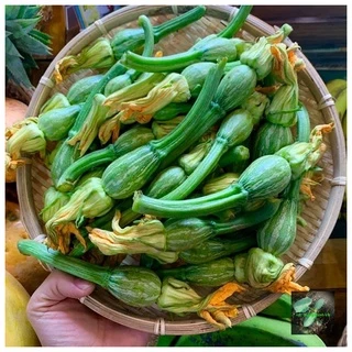 [Seeds] Hạt giống bí ăn nụ, đóng gói 0.5gr khoảng 10 hạt