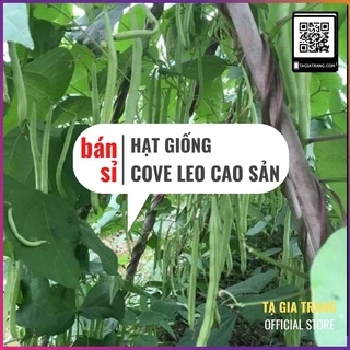 [Bán sỉ] - Hạt giống đậu cove leo cao sản ( quả tròn, hạt đen, hoa tím )