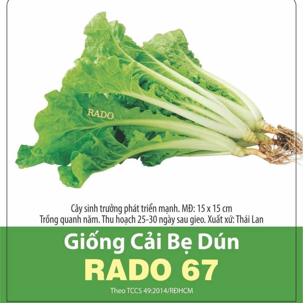 Hạt Giống Rau Cải Bẹ Dún Dễ Trồng, Nhanh Thu Hoạch 20gram RADO 67