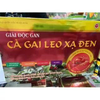 Viên bổ gan Cà gai leo xạ đen - Vàng (hộp 60 viên)