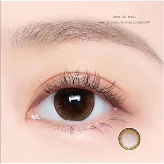 Lens nâu giãn ít Lilly/Cupid có độ