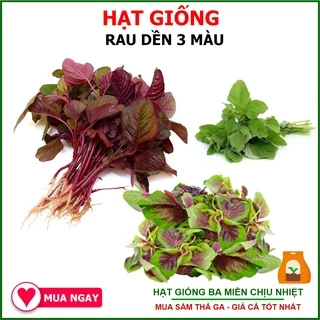 Hạt giống Rau Dền 3 Màu 50gram (Trang Nông)