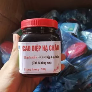 200g cao diệp hạ châu ( chó đẻ răng cưa)