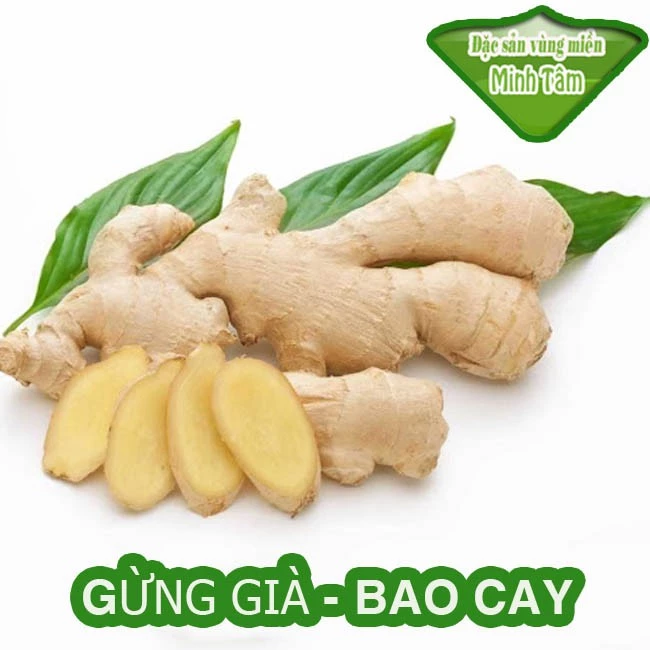 Củ gừng tươi loại 1 kí [CHỈ GIAO TPHCM]