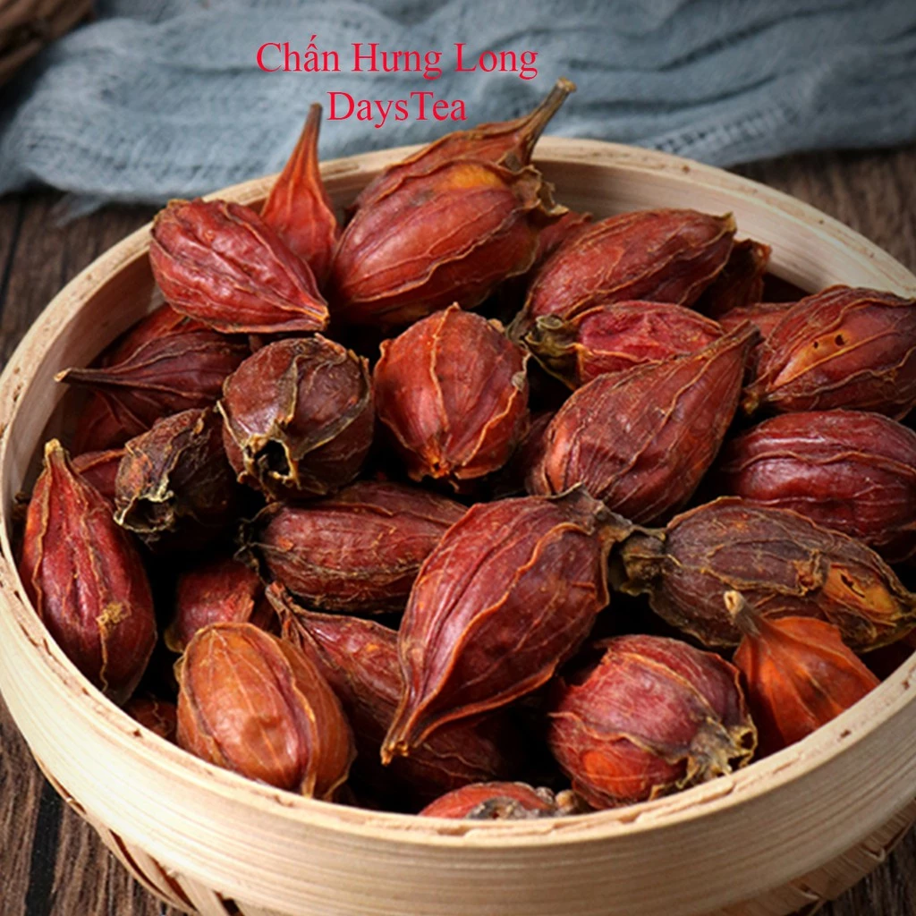 Quả Chi Tử 100g - Đông y chấn hưng long