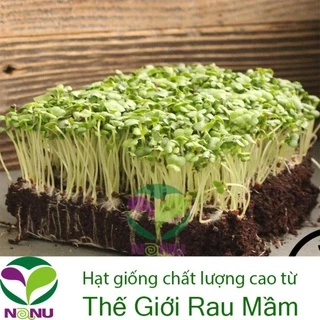 Hạt giống rau mầm cải ngọt - 1Kg _ Thế Giới Rau Mầm_thegioiraumam.com - shop BÉ MẦM 06 HCM