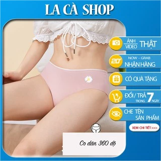 [SIÊU HOT, SIÊU MỚI] Quần Lót Su Đúc Không Đường May Viền Bèo Hoa Cúc Nhiều Màu