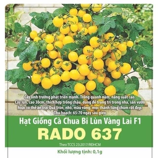 80 Hạt giống Cà Chua Bi Lùn Vàng+Đỏ F1 Rado (0.1g) - Trồng chậu siêu đẹp, sai quả, nhanh cho quả