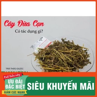 Dừa Cạn Khô 1Kg - Loại Cao Cấp - Thảo Dược Thanh Bình