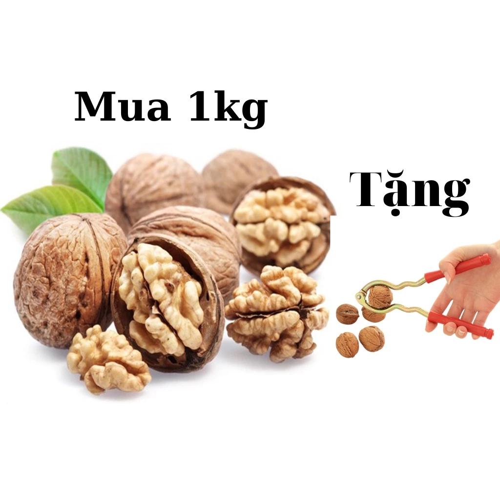 Hạt óc chó Trần Anh Food - Hạt óc chó vàng nguyên vỏ sấy khô túi 500g ăn vặt tốt cho mẹ bầu