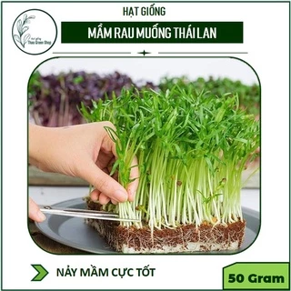 HẠT GIỐNG RAU MẦM RAU MUỐNG - 50G