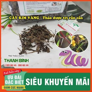 Cây Kim Vàng 500g Khô - Đông Y Thanh Bình