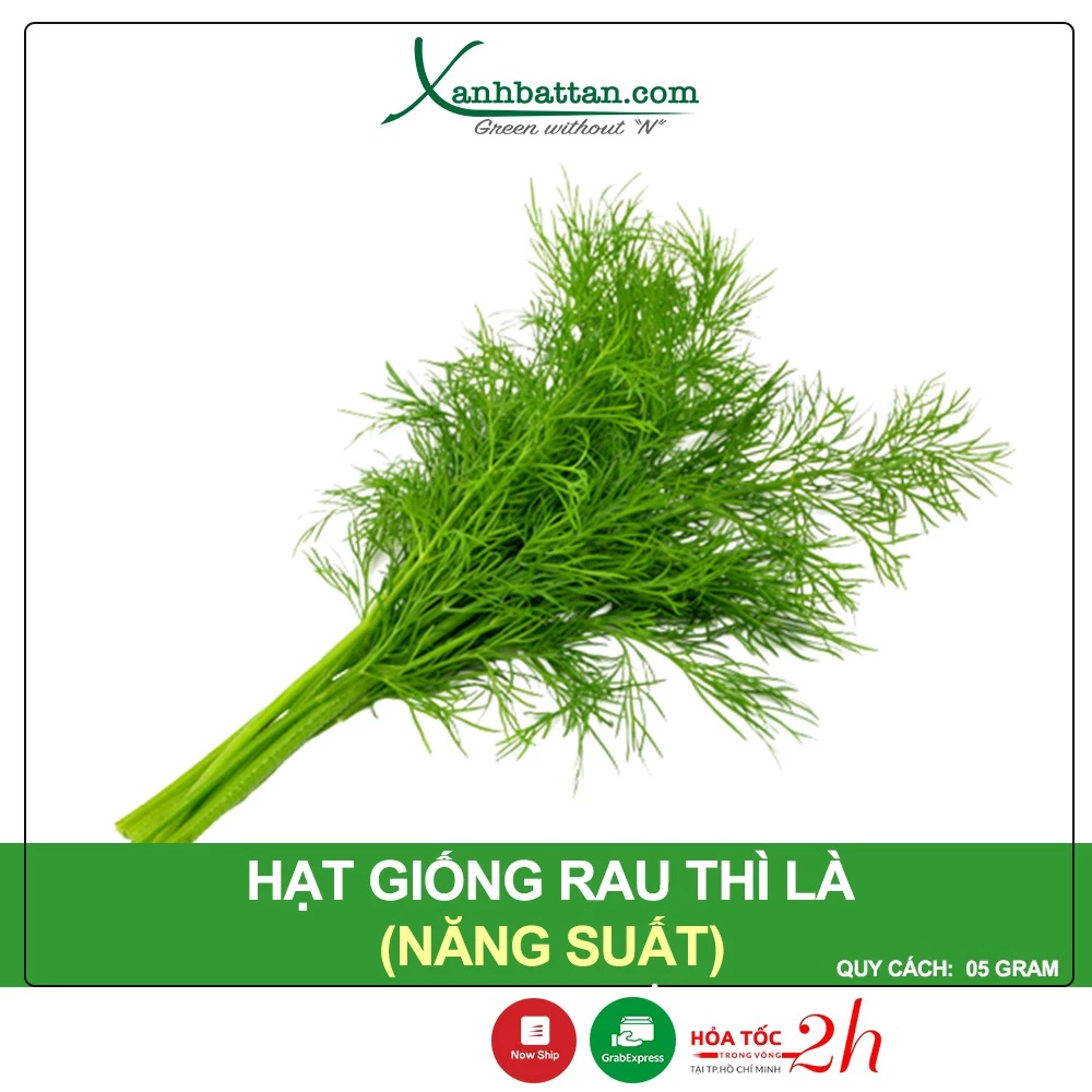 Hạt Giống Rau Thì Là Phú Nông Gói 5 Gram