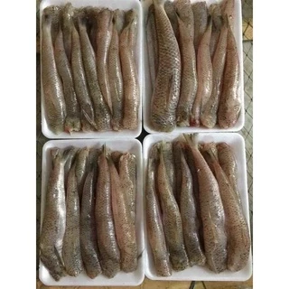 cá bống biển 1kg❤️ GIÁ SỈ ❤️chiên giòn, kho siêu ngon