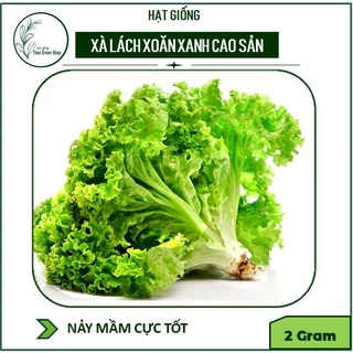 Hạt Giống Xà Lách Xoăn Xanh Cao Sản 2 Gram