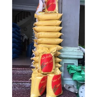 10kg gạo tám xoan (hải hậu)