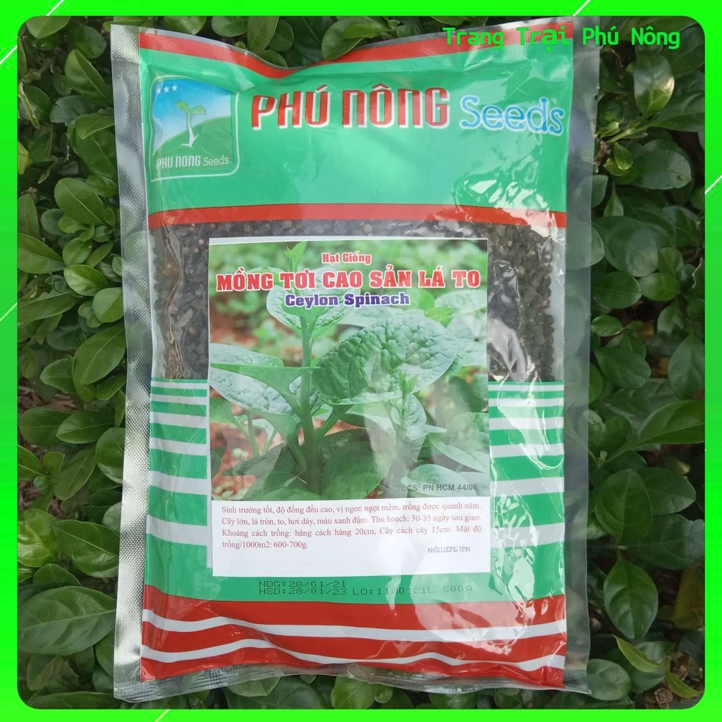 Hạt Giống Mồng Tơi Cao Sản Phú Nông - Gói lớn 500g - 1kg - Ceylon Spinach