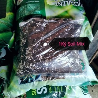 Đất Soil Mix Trồng Sen Đá, Xương Rồng Chuyên Dụng 1Kg