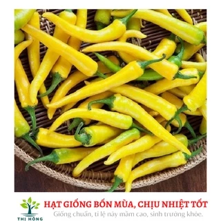 Hạt giống ớt sừng vàng 0.1g (trái dày, rất cay, thơm)