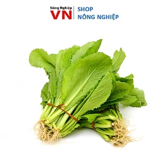 Hạt Giống Cải Bẹ Xanh ( cải canh ) Dễ Trồng, Trẻ Lâu, Ăn Non gói 20gr