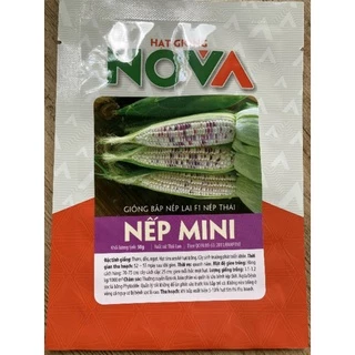 Hạt giống bắp nếp lai F1 nếp thái Mini_50gr