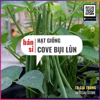 [Bán sỉ] - Hạt giống đậu cove lùn (đậu cove bụi xanh)