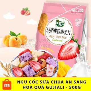 【LOẠI NGON】 Ngũ Cốc Sữa Chua Ăn Sáng Tăng Giảm Cân Mix Trái Cây Yogurt Block Fruit - 500g