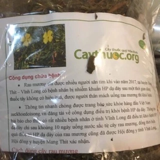 Combo 1 kg rau mương Hỗ trợ Hp đau dạ dày, ợ chua