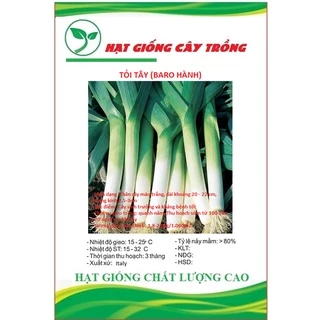 Hạt giống tỏi tây (BARO HÀNH) CT140 - Gói 1gram