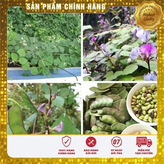 Hạt giống đậu ván xanh - 3 hạt