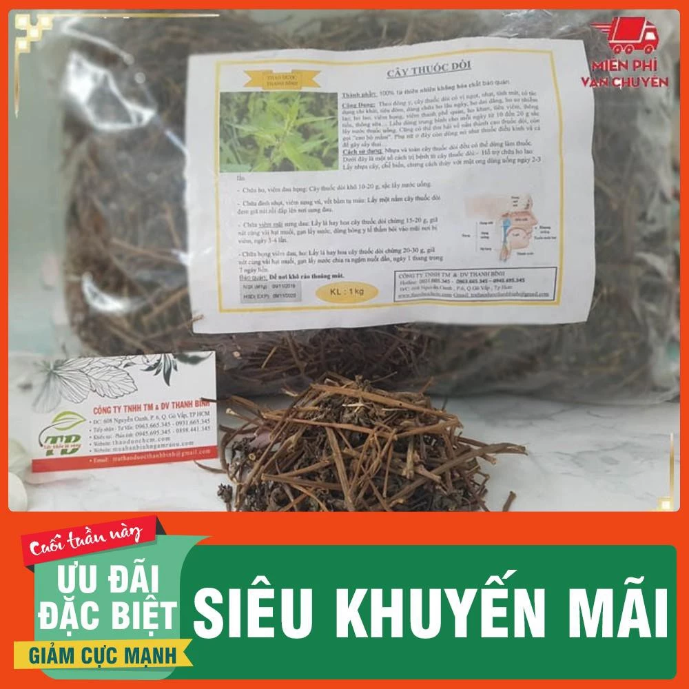 Cây Thuốc Dòi Khô 100Gr Hàng Loại 1 - Thảo dược Thanh Bình