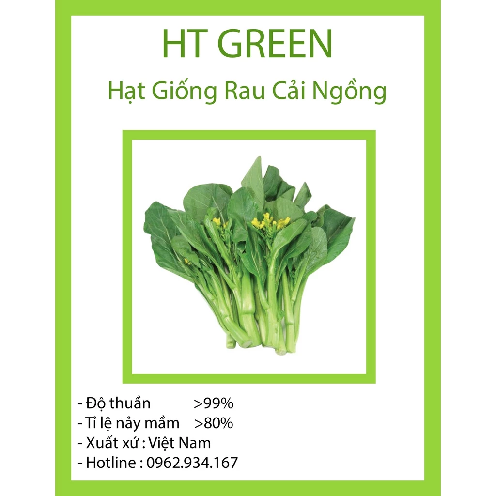 Hạt Giống Rau Cải Ngồng Năng Suất Cao