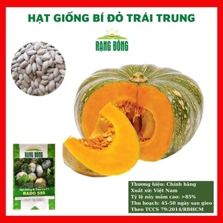 Hạt giống bí đỏ tròn trái trung - rau củ quả trồng chậu, sân vườn ban công ngon ngọt tỉ lệ nảy mầm cao 1gr RADO 555