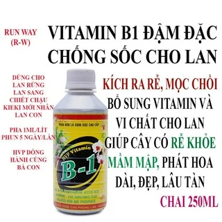 Phân bón đậm đặc HPV Vitamin B1 cho Phong Lan 250ml - Tăng cường mạnh bộ rễ