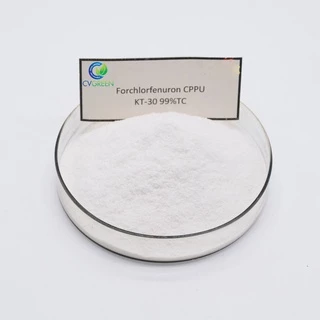 Cytokinin CPPU KT-30 99% (Tăng kích thước trái cây) Forchlorfenuron (gói 50g)