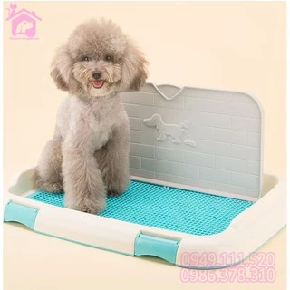 Khay vệ sinh cho chó Size nhỏ 46x35 có tường và cọc cao cấp - CutePets Phụ kiện thú cưng pet shop Hà Nội