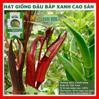 Hạt giống đậu bắp xanh cao sản - rau củ quả trồng chậu, sân vườn ban công ngon giòn ngọt nảy mầm cao 10gr RADO 313