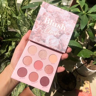 Có Bill - Bảng phấn mắt Colourpop Blush Crush