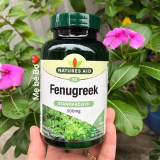 Cỏ lợi sữa Fenugreek Natures Aid