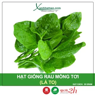 Hạt Giống Rau Mồng Tơi Lá To Phú Nông Gói 20 Gram