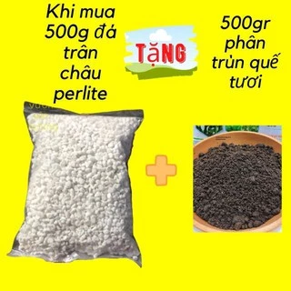 Đá Perlite- Trân Châu (gói 500g- tặng 500g Phân Trùn Quế Tươi) Giá Thể Cao Cấp Trồng Hồng, Dâu Tây, Sen Đá, Xương Rồng