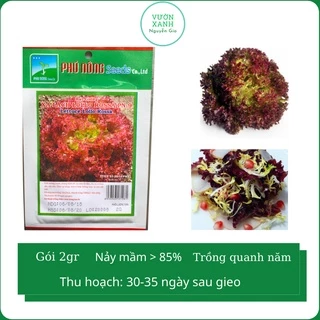 Hạt Giống Xà Lách Lollo Rossa Phú Nông Gói 2gr