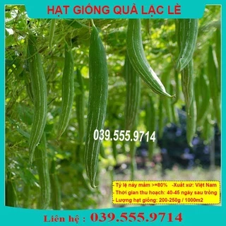 HẠT GIỐNG QUẢ LẶC LÈ  DỄ TRỒNG, DỄ CHĂM, NHANH RA QUẢ