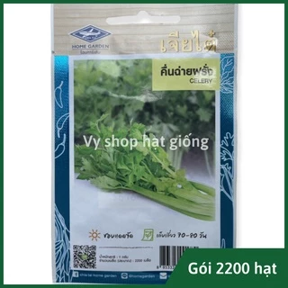 Hạt giống rau cần tây bẹ to Thái Lan gói 1200 hạt