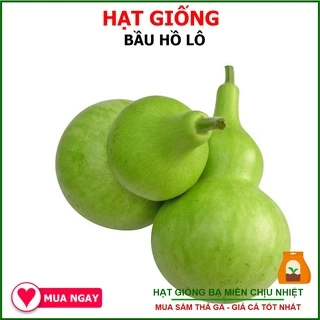 [RẺ VÔ ĐỊCH] Hạt Giống Bầu Hồ Lô