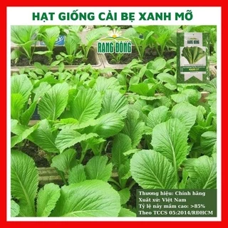 Hạt giống rau cải bẹ xanh mỡ ngọt - rau củ quả trồng chậu, sân vườn ban công ngon giòn ngọt 20gr RADO 57