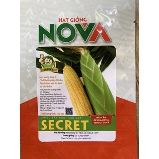 Hạt giống bắp ngọt cao cấp Secret_50 hạt (công ty NOVA)