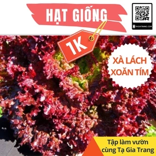 Deal 1K - 50 Hạt giống xà lách xoăn tím - Tập làm vuờn cùng Tạ Gia Trang