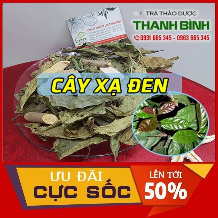 Cây Xạ Đen Khô 1Kg - Thu Hái 100% Tự Nhiên