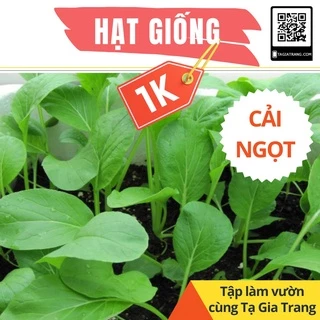 Deal 1K - 100 Hạt giống Cải ngọt Cọng Xanh - Tập làm vườn cùng Tạ Gia Trang